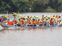 Gauteng Dragon Boat Association - Team Building - Image 2